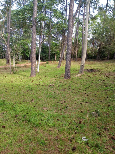 Lotes En Barrio Cercado La Cueva Del Teyu San Ignacio