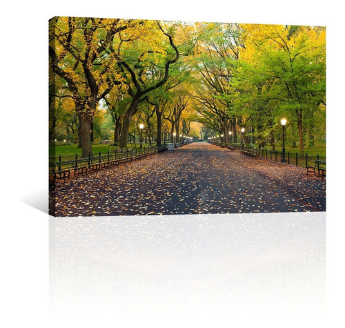 Cuadro Decorativo Nueva York Canvas Central Park En Otoño