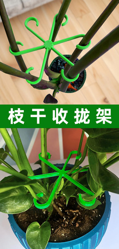 4pz Soporte Trepador Ajustable Plantas - Material Resistente