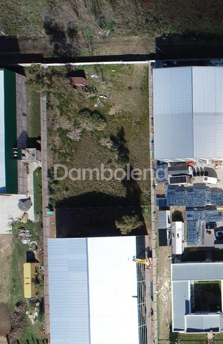 Imagen 2 de 5 de Terreno Fracción En Venta Sobre Colectora Acceso Oeste Fco Álvarez, Moreno, G.b.a. Zona Oeste