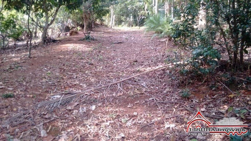 Imagem 13 de 15 de Terreno Bom Para Chacara Rodovia Dom Pedro - 6324