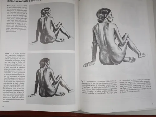Dibujo Del Desnudo - Bellas Artes - Daimon - Paso A Paso