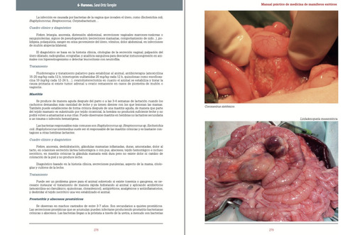 Bengoa: Manual Práctico De Medicina De Mamíferos Exóticos