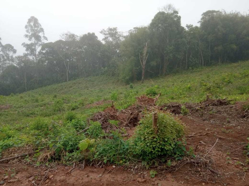 Imagem 10 de 14 de A01- Desconto De Terrenos 1.000m2 Plainos Prox A Represa !!!