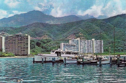 Imagen 4 de 20 de Club Puerto Azul