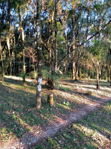 Imagem 6 de 15 de Chácara Para Venda Em Balsa Nova, Bugre, 3 Dormitórios, 3 Suítes, 1 Banheiro, 4 Vagas - 808_1-1684260
