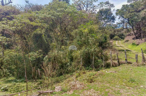 Imagem 8 de 8 de Área - Residencial - 931526