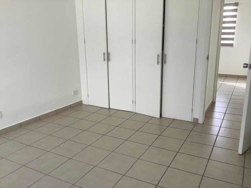 Imagen 6 de 15 de Departamento En Renta A 1 Cuadra Del Parque De Los Venados