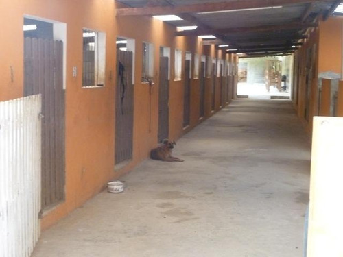 Imagem 3 de 14 de Belíssima Chácara 14.000m² Escriturada/ Aceita Permuta