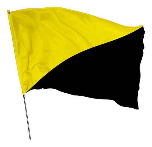 Bandeira Anarcocapitalista 2,2m X 1,50m Cor