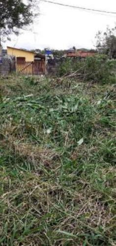 Imagem 5 de 6 de Terreno No Bairro Gaivota, Em Itanhaém, Com 250 M² De Área Total