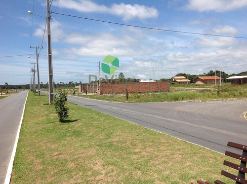 Imagem 17 de 27 de Terreno A Venda No Bairro Ervino Em Praia Do Ervino/sc - Sc. - 30176-1