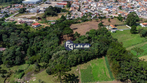 Imagem 18 de 30 de Terreno À Venda, 17538 M² Por R$ 3.500.000,00 - Guatupê - São José Dos Pinhais/pr - Te0074