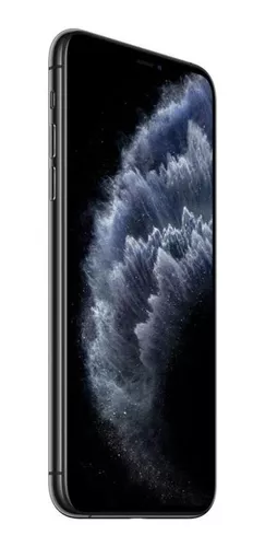 iPhone 11 Pro Max 256 GB gris espacial