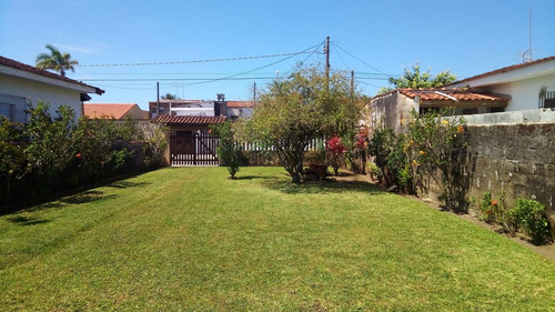 Imagem 7 de 8 de Lindo Terreno Murado E Com Portão - Te00002 - 34931841