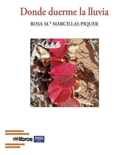 Libro Donde Duerme La Lluvia - Marcillas Piquer, Rosa M.âª