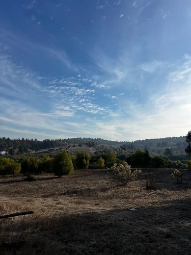 Crisol Melosilla, Valle Alegre, Quintero, Planas, Cuotas