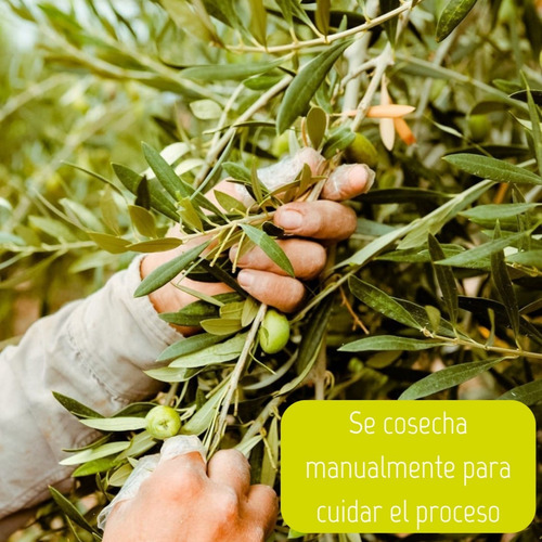Aceite De Oliva Zuelo Clasico 5000ml 5lt Extra Virgen Caja