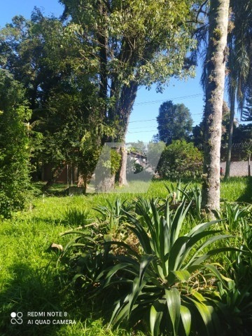 Imagem 12 de 24 de Chácara Dentro Da Cidade - Ch00117 - 69421011