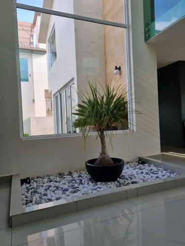 Casa En Venta O Renta En El Mesón, Calimaya 4 Recamaras 520 M2 Construccion