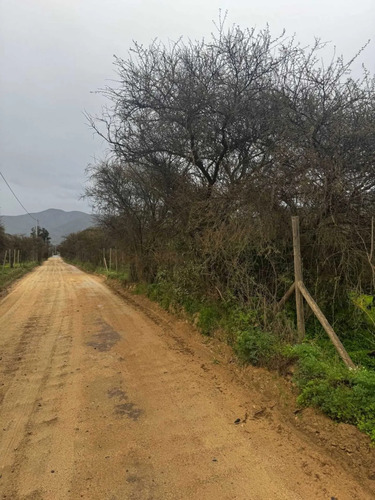 Parcelas De Agrado 10000 M2 Curacavi Ruta 68 (176809)