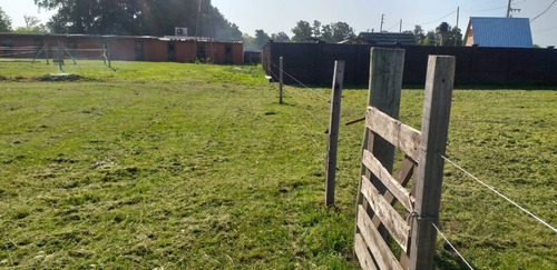 Imagen 17 de 24 de Lote Con Caballerizas Vende O Permuta