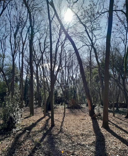 Venta De Terreno En El Barrio Los Bosquecitos