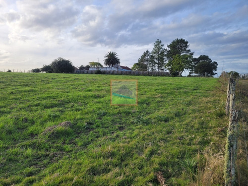 Imagen 21 de 26 de 70 Hectáreas De Campo Ganadero Corte De La Leña