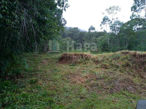 Imagem 4 de 7 de Terreno Rural Para Chácara À Venda Em Canelinha/sc - 1363c