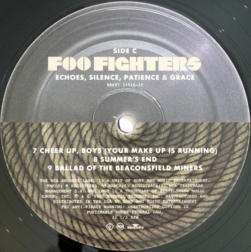 Imagen 7 de 7 de Foo Fighters Echoes, Silence, Patience Vinilo Rock Activity