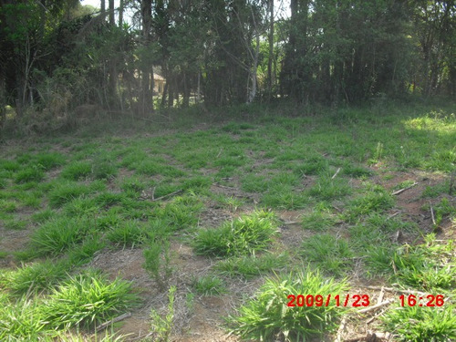 Imagem 8 de 13 de Terreno Próximo A Cidade