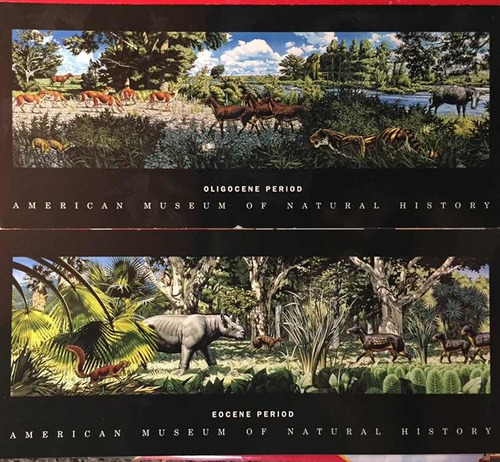 2 Postales Robert Barber 1994, Período Oligoceno-eoceno