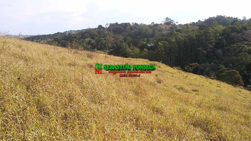 Imagem 3 de 3 de Alugo Terreno Para Torre Da Tim, Vivo, Internet, Claro E Outros - 2323