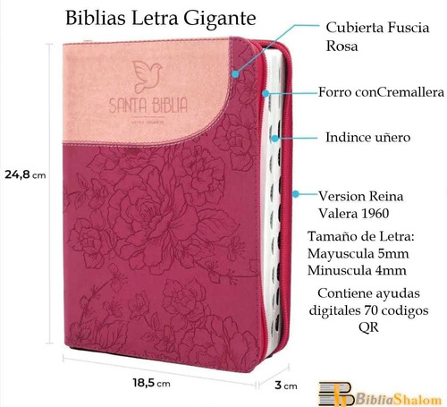 Biblia  De Letra Gigante Reina Valera 1960