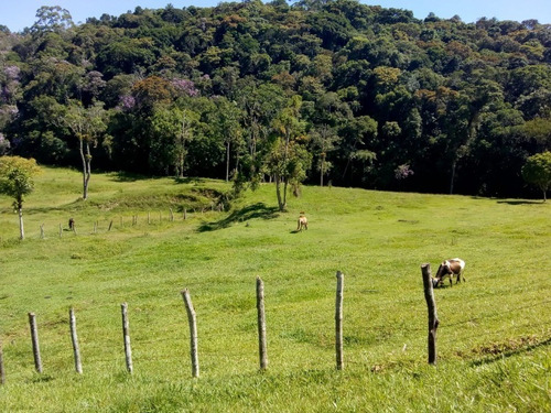 Imagem 26 de 30 de Fazenda Em Juquitiba; Fazenda À Venda Em Juquitiba Sp - 241 - 32982716