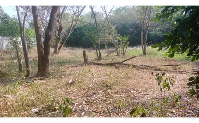 Lote y casalote en venta