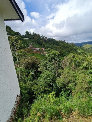 Imagen 14 de 18 de Confortable Y Tranquila Casa En Potrero Pueblo