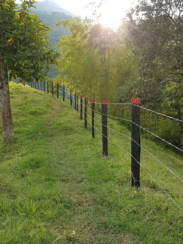 Imagen 8 de 8 de Finca Venta Genova Quindio