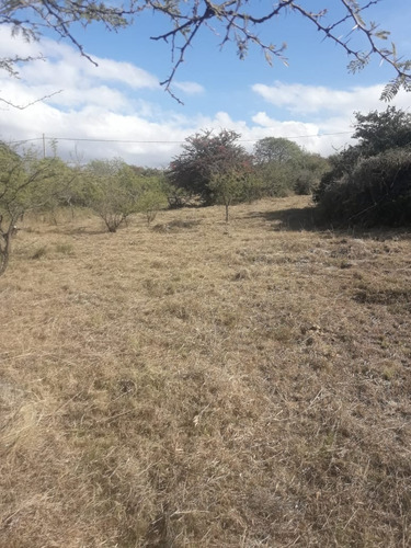 Imagen 10 de 11 de Lote 1500 M2 Tierra El Sauce Villa General Belgrano - Córdoba