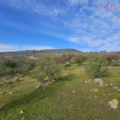 Sitio En Venta En Curicó