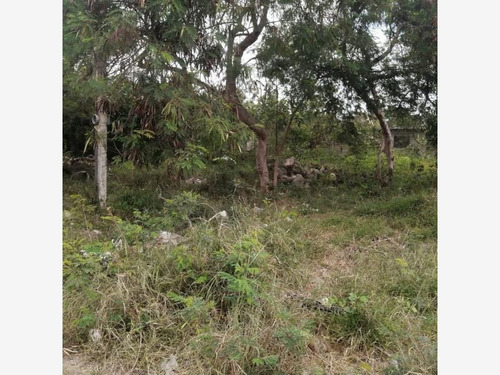 Imagen 7 de 14 de Venta Terreno Del Bosque