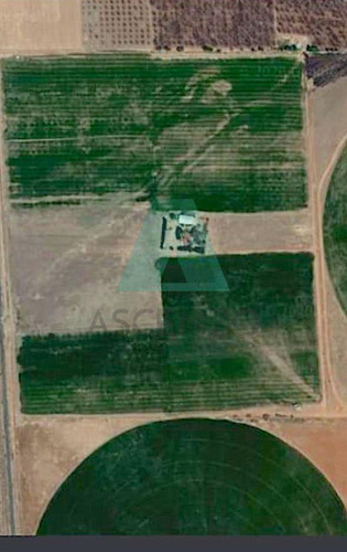 Oportunidad¡¡ Venta De Rancho Agricola En Poblado Del Sauz, Fergo