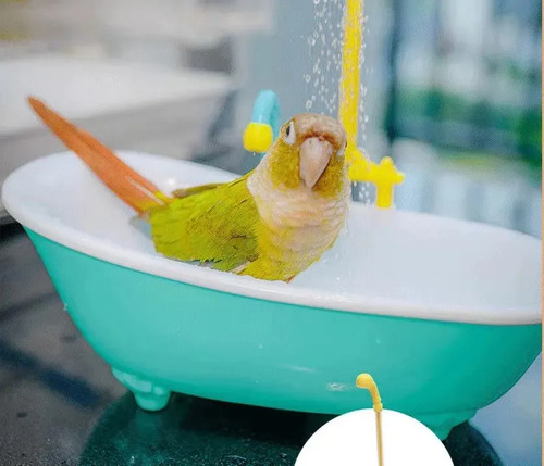 Ducha Automática Para Pájaros Y Bañera Para Loros