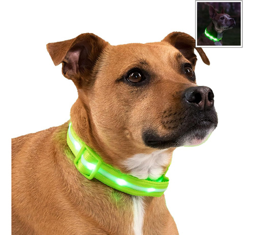 Collar Led De Seguridad Perros, Recargable Por Usb Luz ...