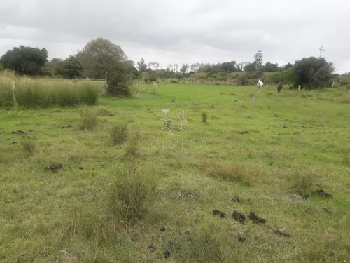 Campo De 5 Has Con 5891 M2