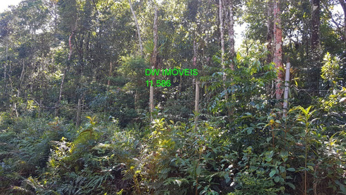 Imagem 6 de 19 de Juquitiba/terreno Com Mata E Nascente. - 05000 - 68089597