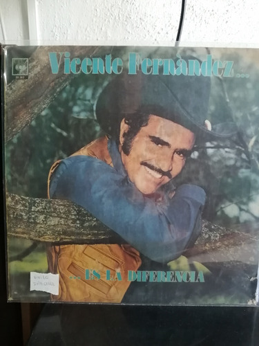 Disco De Vinilo Vicente Fernández (250)