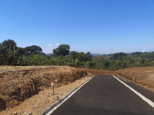 Imagen 8 de 10 de Terreno En Naranjo