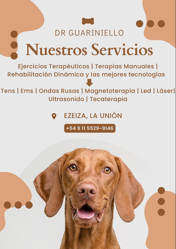 Atención Veterinaria Y Fisioterapia Zona Ezeiza