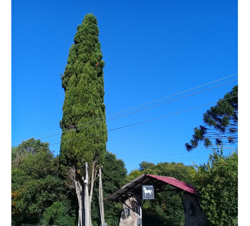 Oportunidad - Terreno A La Venta - Sobre Km26 De Ruta 6 - U$s199000